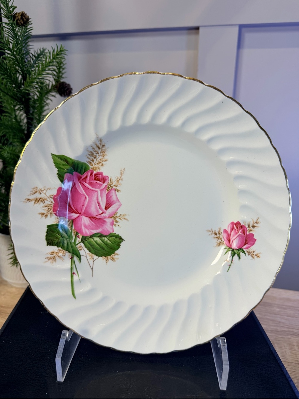 Classic Vintage Royal Wessex Swinnertons Ironstone Dinner Plate 10”